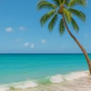 sea.スムーズな受取評価をお願いしますの画像