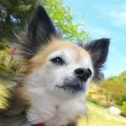 ろくろく☆プロフ見てね♪