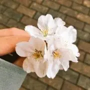 まるの画像