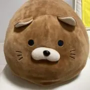 まいまいの画像