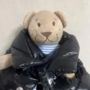 朱理の画像