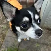 けんじ