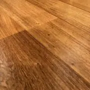5shの画像