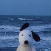 あたらしいなまえの画像