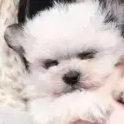 Keiの画像