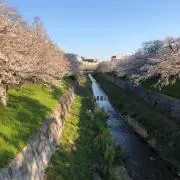 YOSHIZA