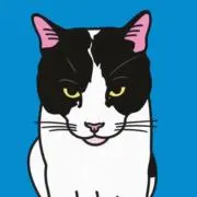 まろ｜まとめ買い歓迎の画像