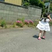 ピグちゃんの画像