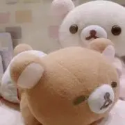葵の画像