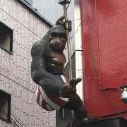 えすの画像