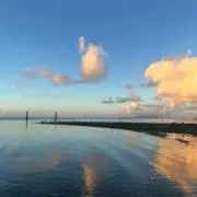 Mの画像