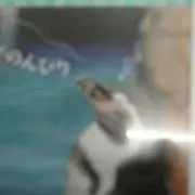 なりこ
