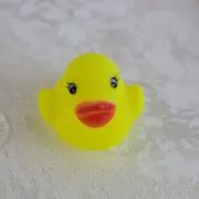 きょんちゃん