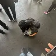 Mの画像
