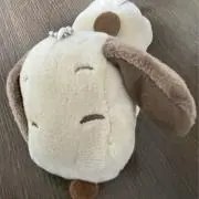 じょんの画像