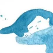 小豆の画像