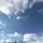 A&Yの画像