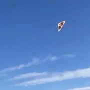 きゅーの画像