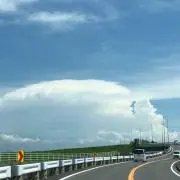 NAO