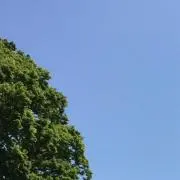 ゆあ(^ω^)