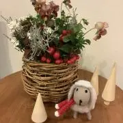 ひつじくもの画像