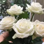 みりん