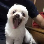 あつし