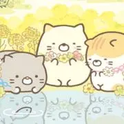 すみっコぐらC