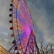 まる