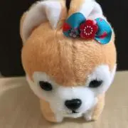モコの画像
