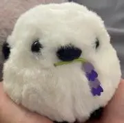 シマエナガ　おまとめ割引しますの画像