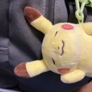 (・∀・)即購入可 値下げコメください。の画像
