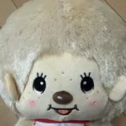 ⭐︎884⭐︎の画像