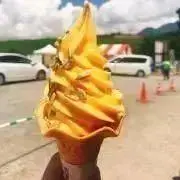 Yの画像