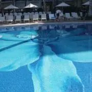 Flammeの画像