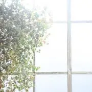 ⭐︎の画像