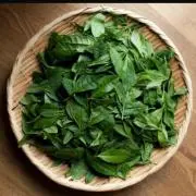 お茶っぱの画像