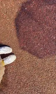 まぁゆ⑅︎◡̈︎*