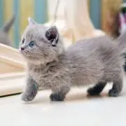 みい