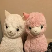 なっち