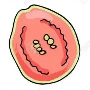 グァバの画像