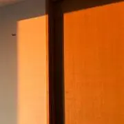 百合の画像