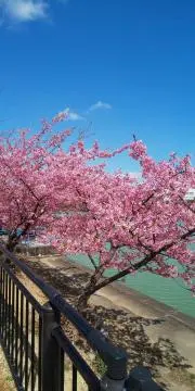 upeの画像