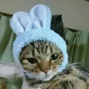 もんぶらんの画像