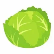 キャベツの画像