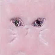 cocoの画像
