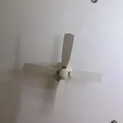 EPOの画像