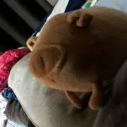 ゆるるの画像