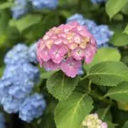 kkkk おまとめ買いお安くします！の画像