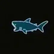 MUSICプロフ必読の画像